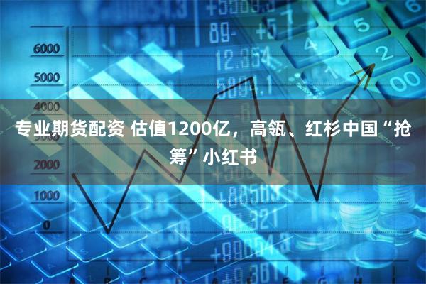 专业期货配资 估值1200亿，高瓴、红杉中国“抢筹”小红书