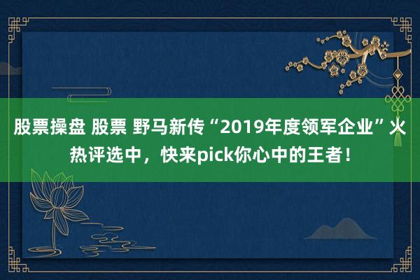 股票操盘 股票 野马新传“2019年度领军企业”火热评选中，快来pick你心中的王者！